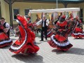 DSCN7501