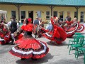 DSCN7506